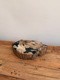 Petrified wood vessel - Hand and Ember