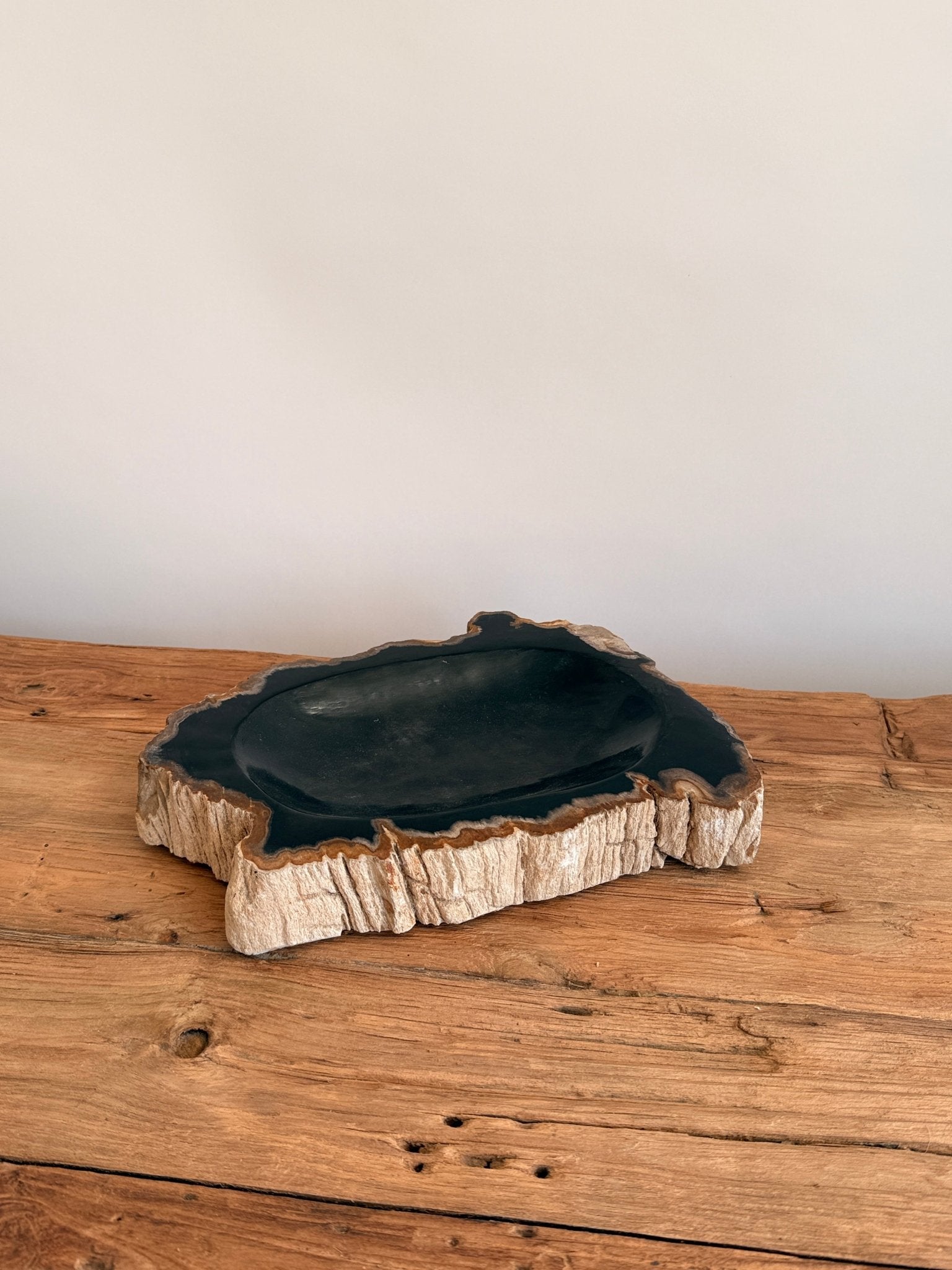 Petrified wood vessel - Hand and Ember