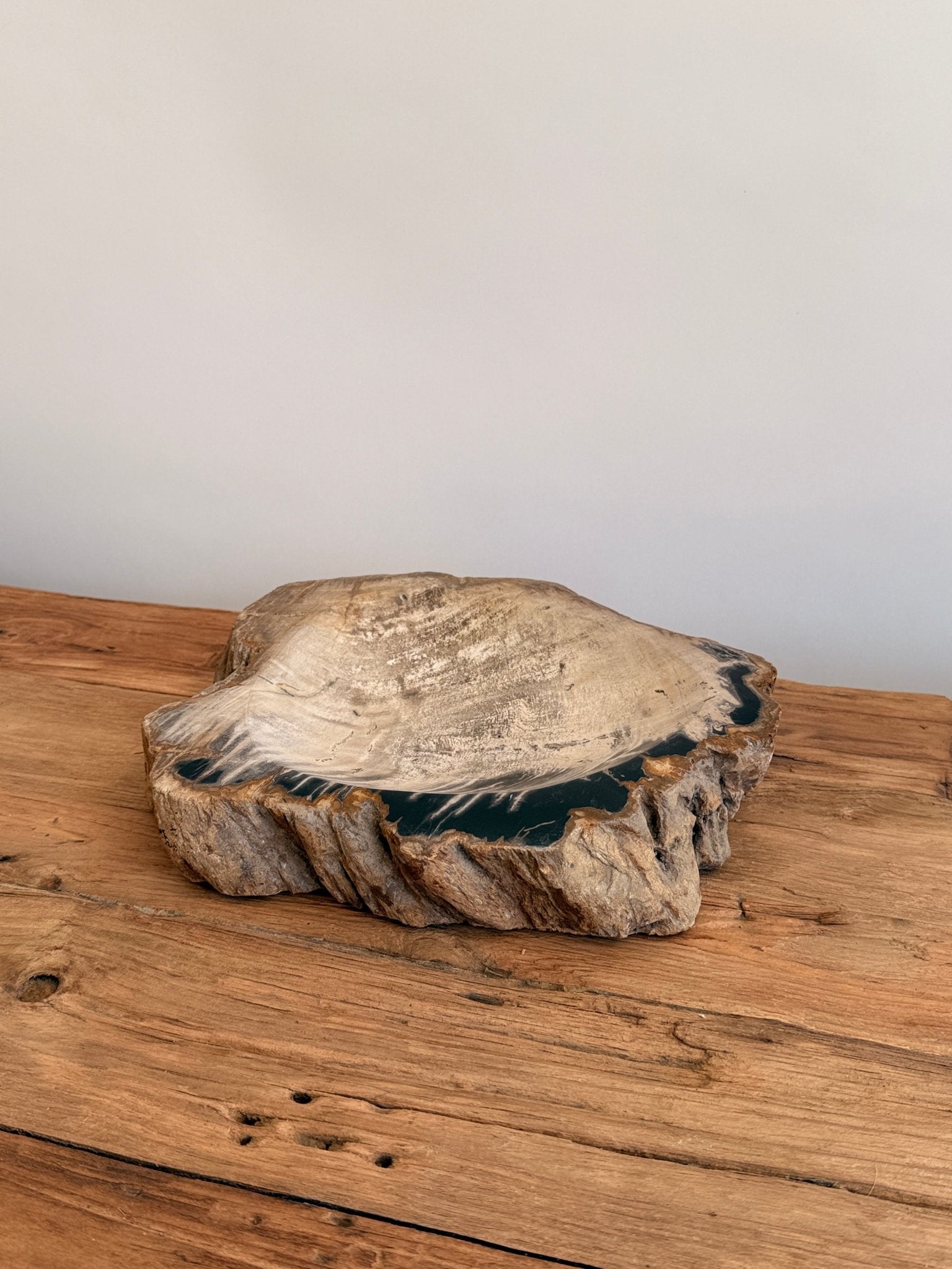 Petrified wood vessel - Hand and Ember