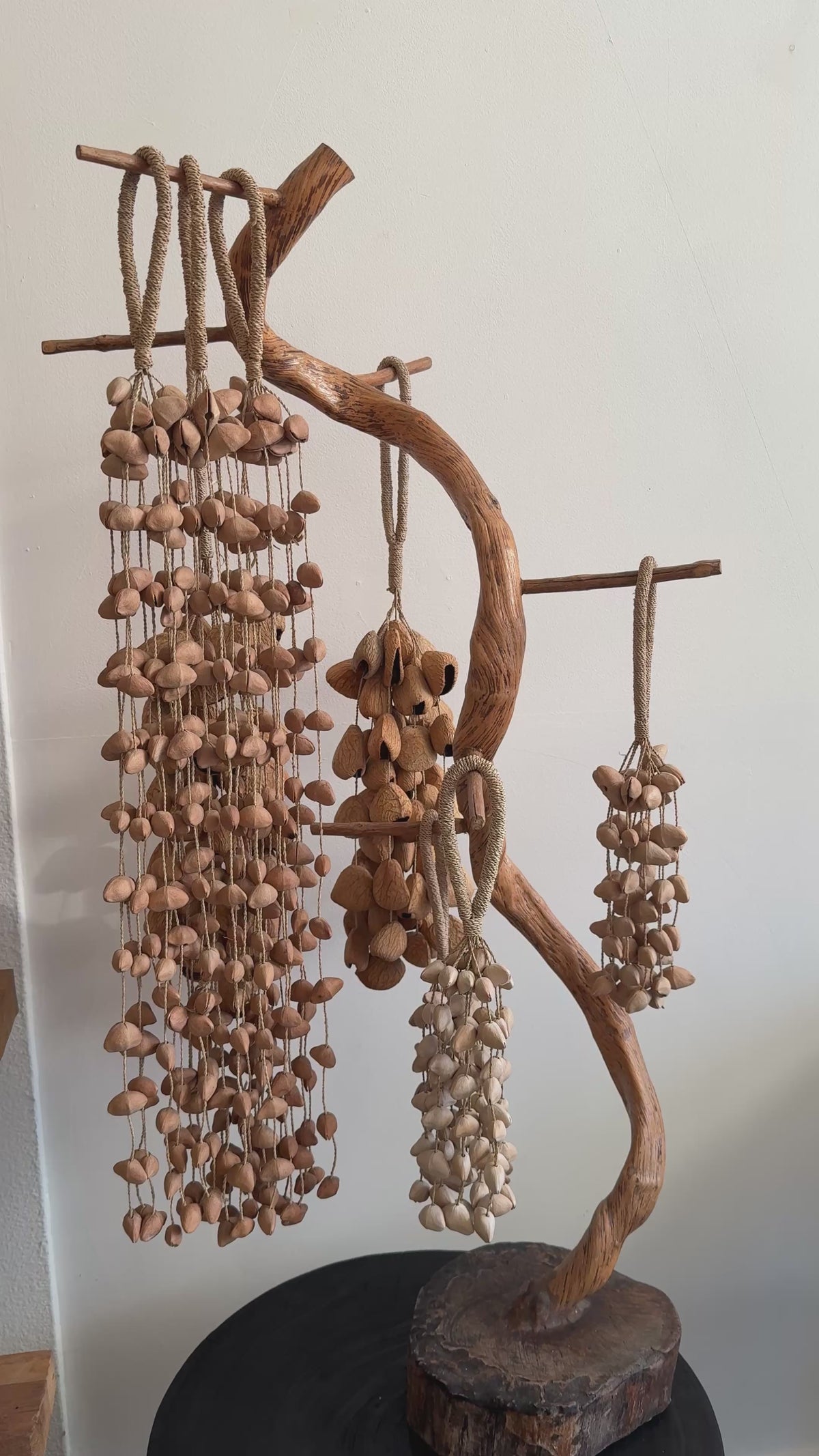 Seed pod chimes  - Kenari seed small
