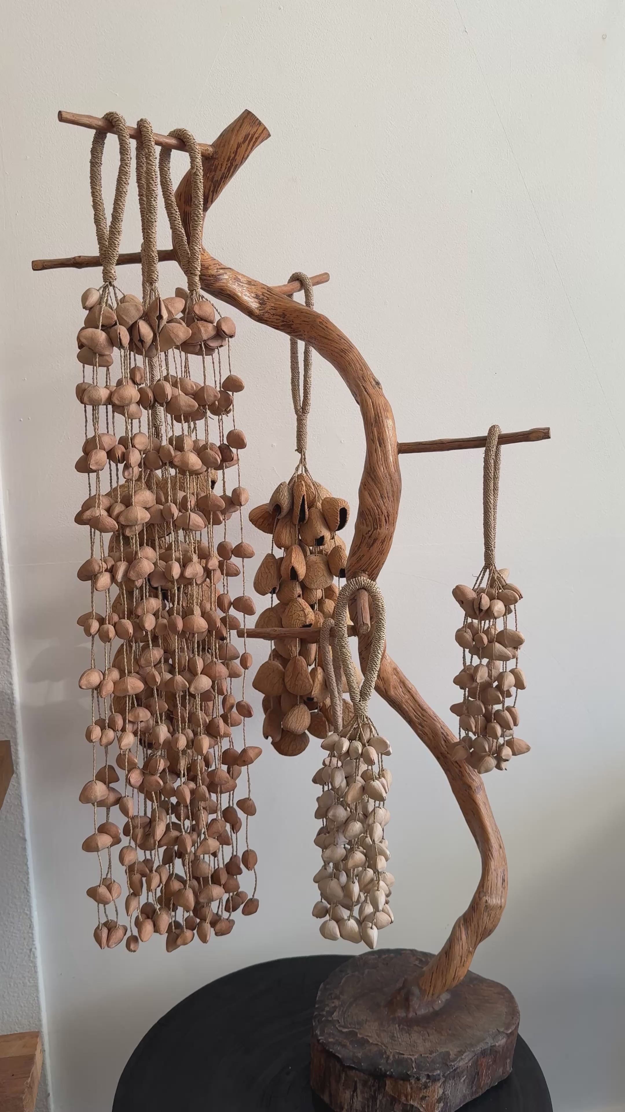 Seed pod chimes  - Kenari seed small