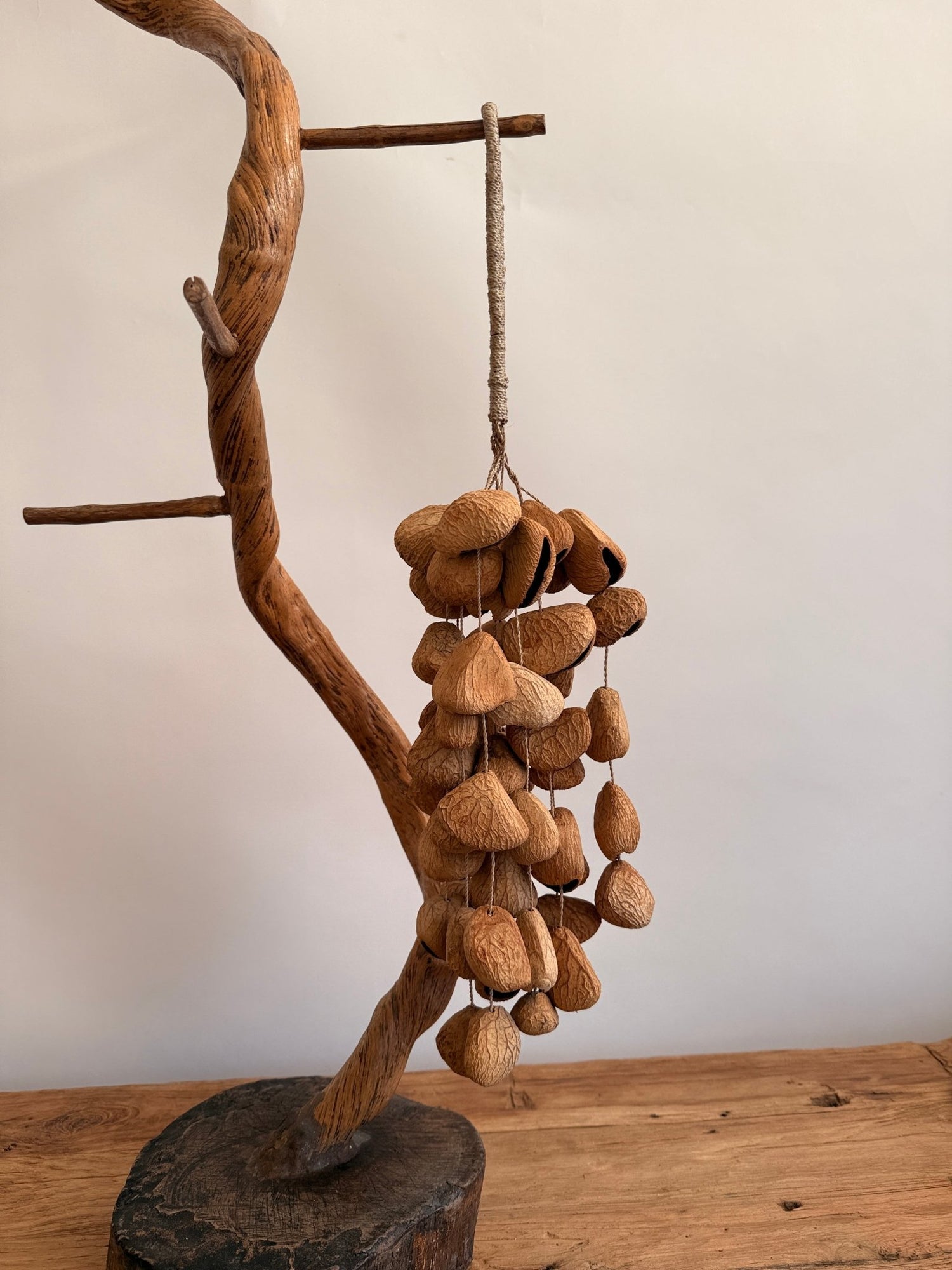 Seed pod chimes - Pangi seed - Hand + Ember