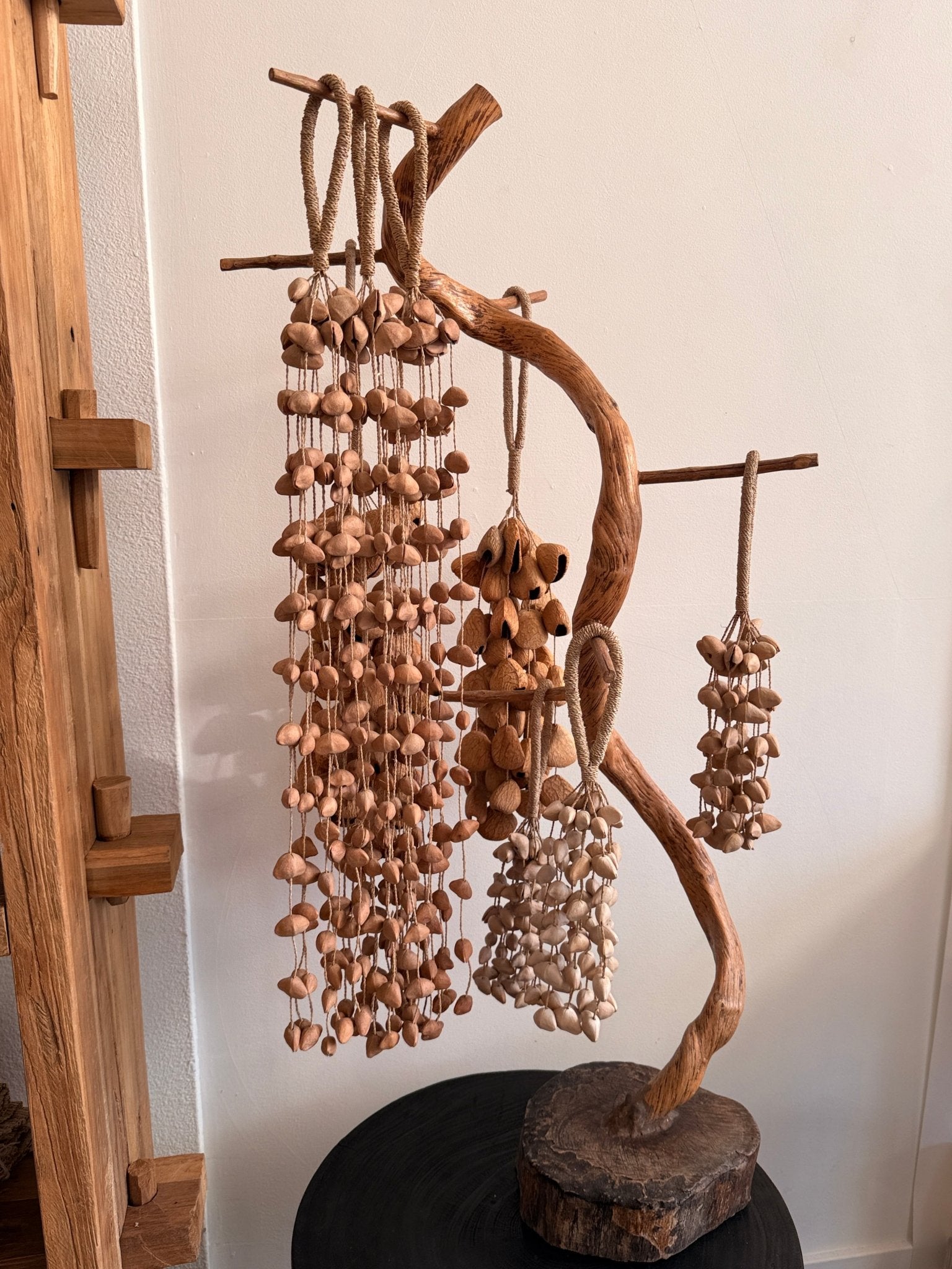 Seed pod chimes - Pangi seed - Hand + Ember